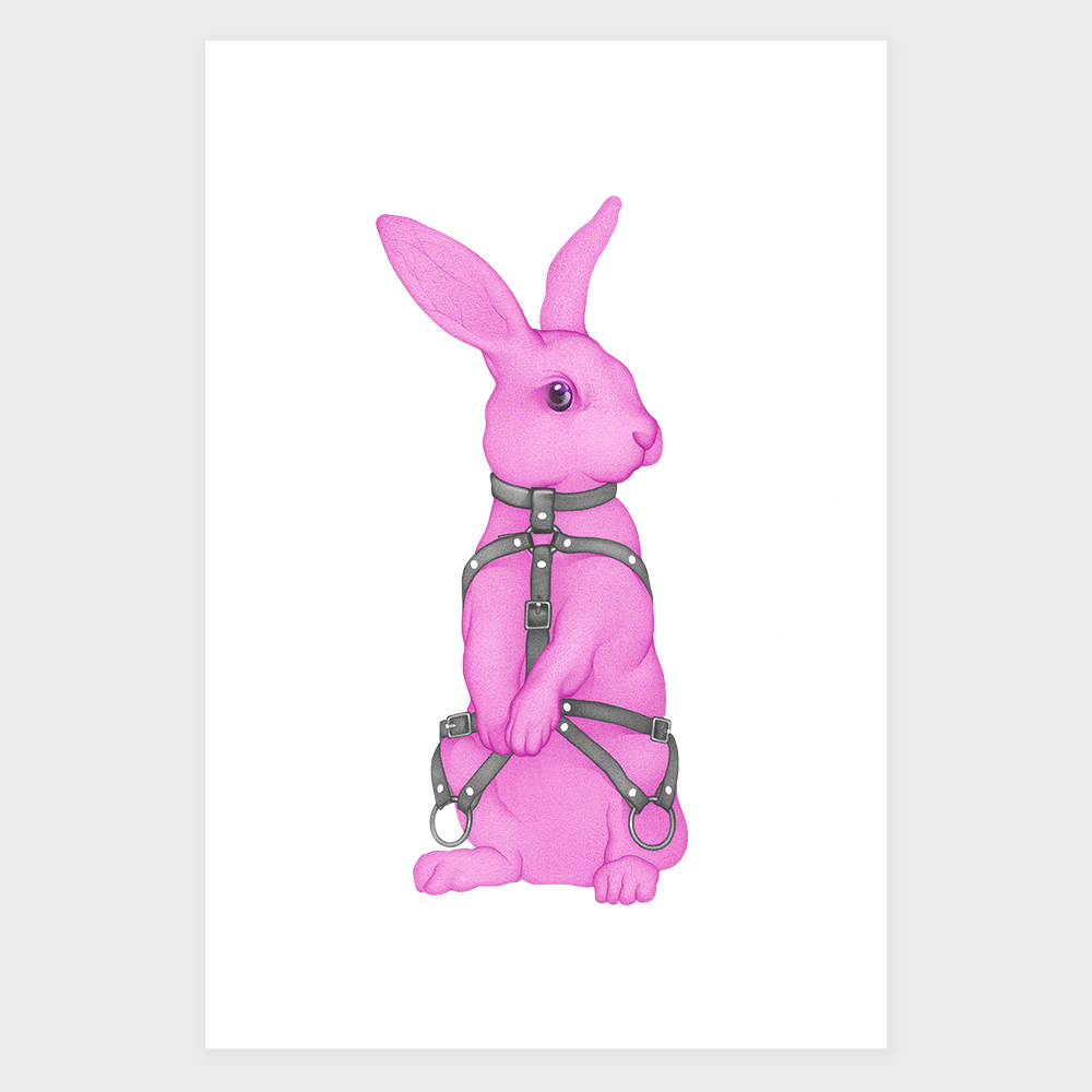 The Bondage Rabbit Poster
