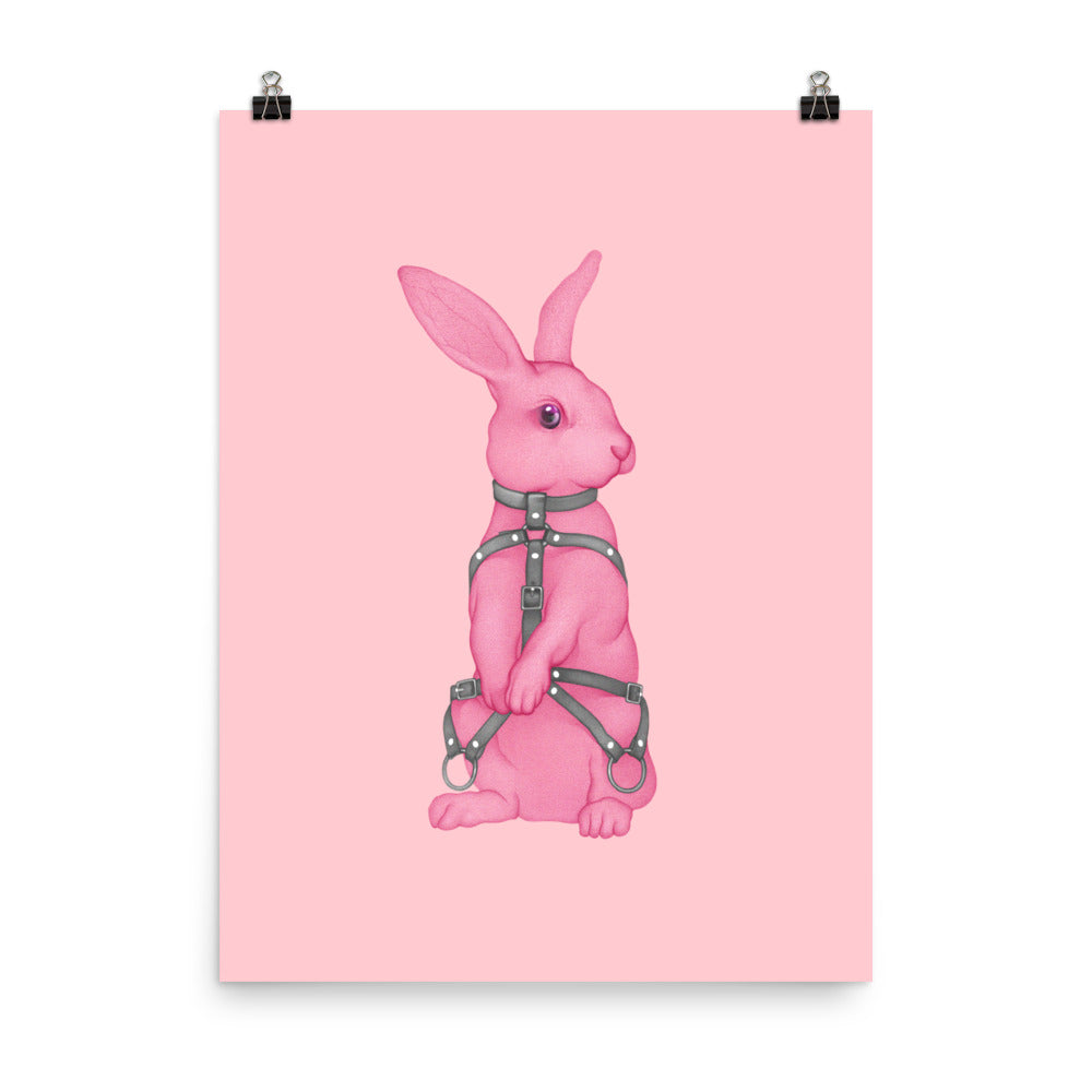 The Bondage Rabbit Pink Poster